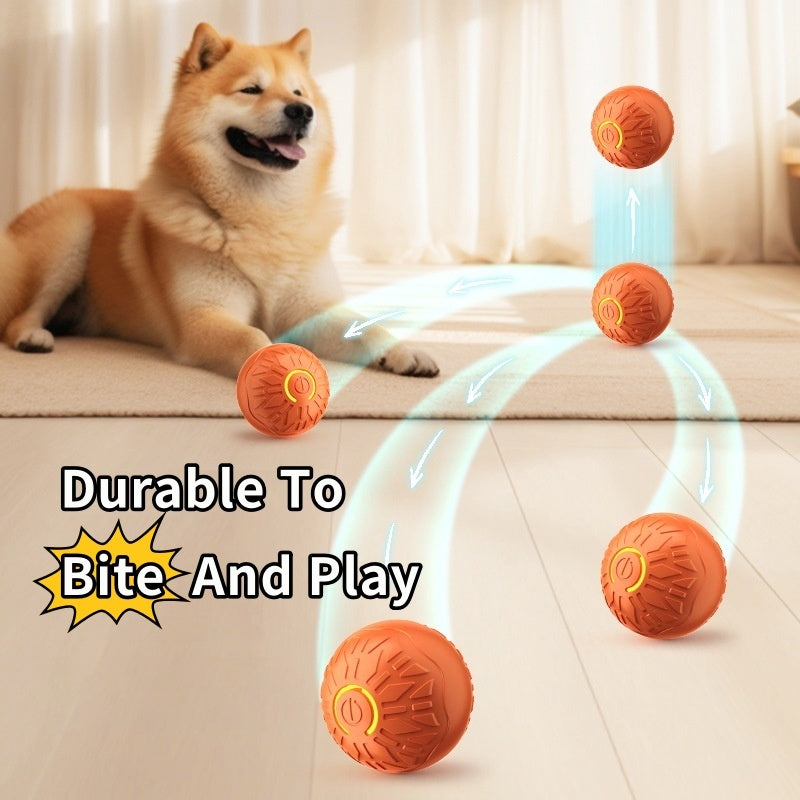 Pet Electric Jumping Ball