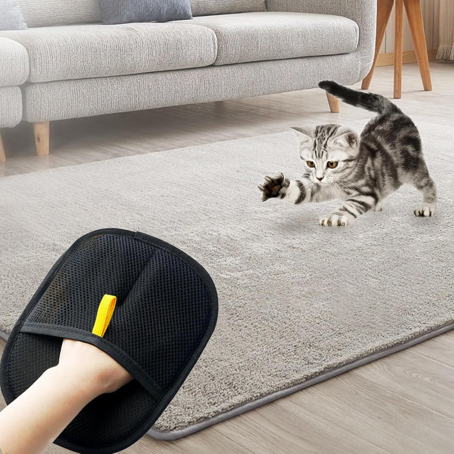 Electrostatic Pet Hair Removal Glove
