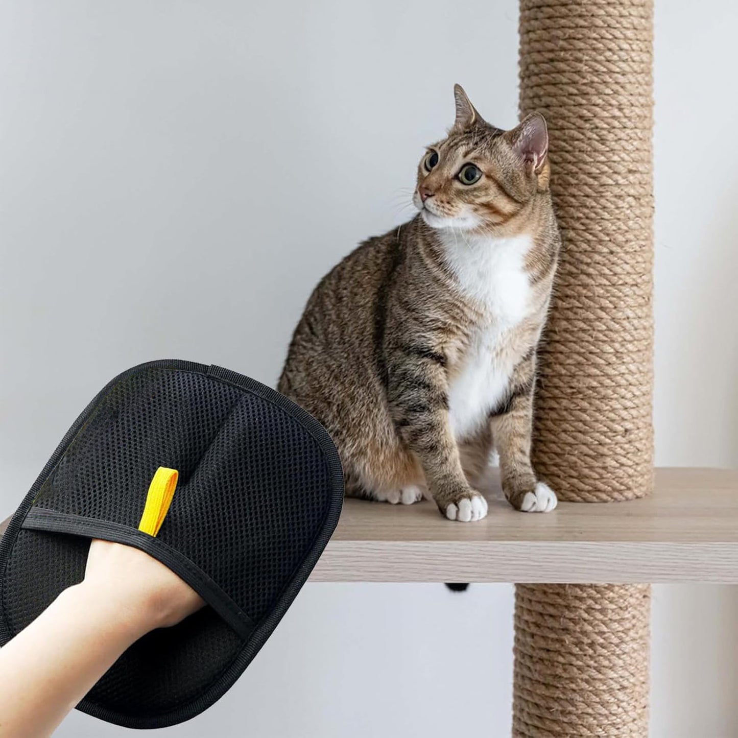 Electrostatic Pet Hair Removal Glove