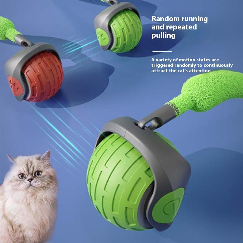 SmartPaw Interactive Cat Ball