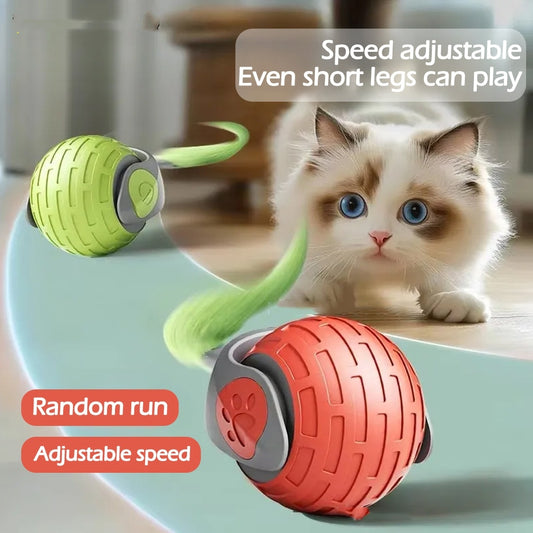 SmartPaw Interactive Cat Ball